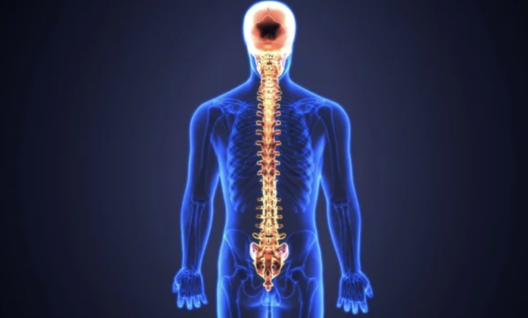 Screen Shot 2022-03-11 at 9.06.10 PM