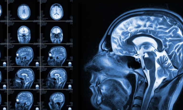 Screen Shot 2022-03-11 at 9.07.01 PM