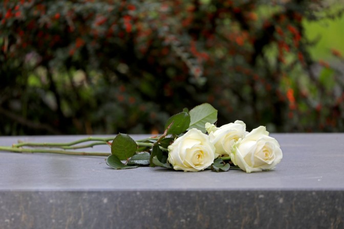 AdobeStock_250725190